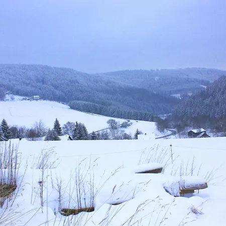 Tatil Evi Lovely Holiday In Schwalefeld Near The Forest *